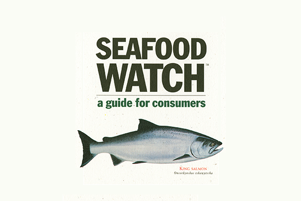 Celebrating 25 Years Of Seafood Watch | Stories | Seafood Watch