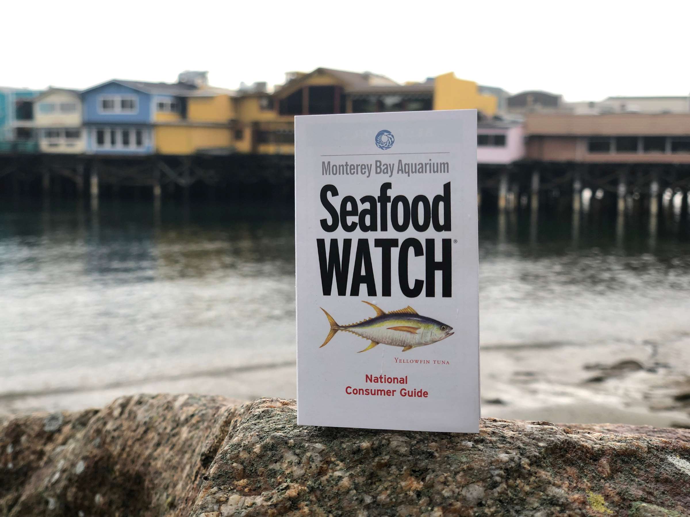 Meet The Fishing Community — Monterey Bay Fisheries Trust